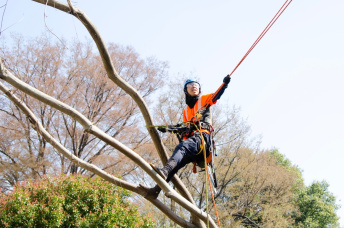 [施工例写真]