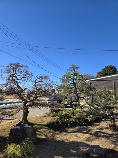 [施工例写真]