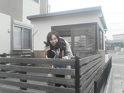 写真