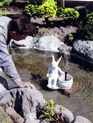 かわいいウサギを使った噴水